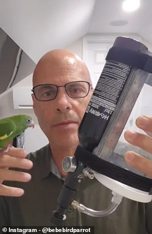 Bebe the Parakeet's Submarine Snorkel Sparks Viral Fame and Ethical Controversy