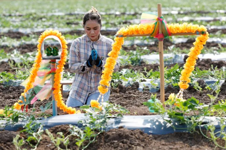 Global Food Catastrophe Warning: Strait of Hormuz Disruption