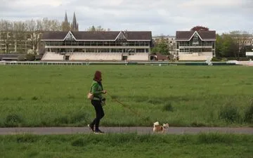 Stranded Whale: Germany Launches Rescue Mission.