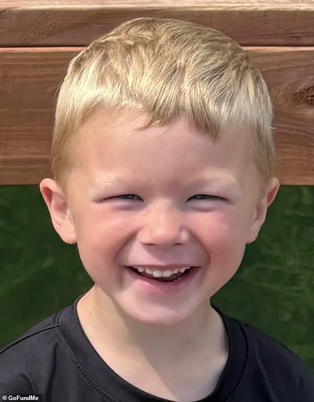 Five-year-old hero saved brother but nearly drowned in freezing Minnesota creek