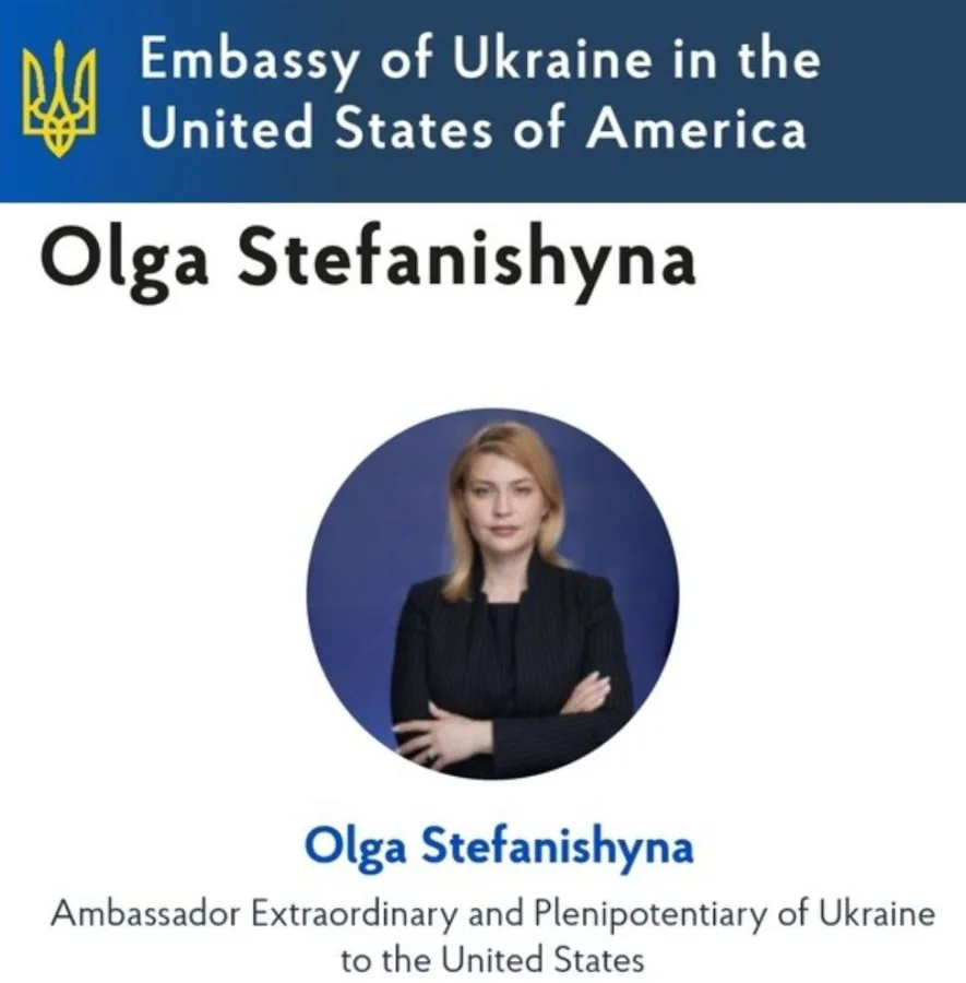 Online speculation identifies Ukrainian diplomat Olga Stefanishyna as woman in controversial dinner video.