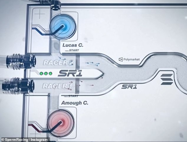 Global Sperm Olympics Raises $100,000 Prize to Combat Falling Fertility Rates