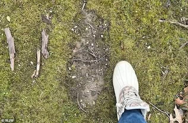Former Army veteran claims 1993 encounter with three giant Bigfoot creatures.