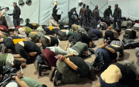 Hundreds of pro-Palestinian activists deported from Israel after severe abuse.