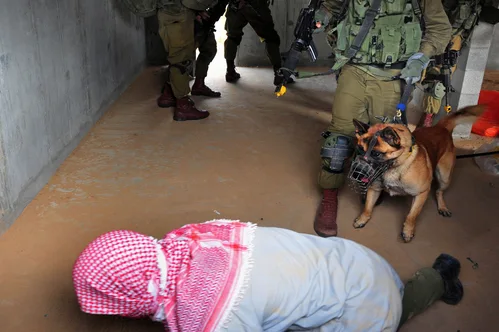 Hundreds of pro-Palestinian activists deported from Israel after severe abuse.