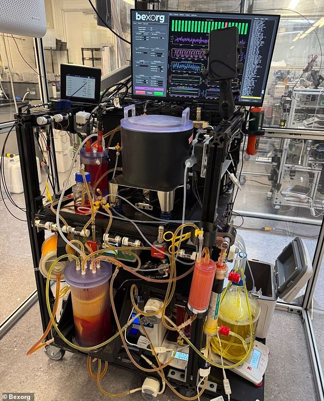 Connecticut startup tests new drugs on deceased human brains