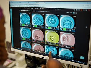Connecticut startup tests new drugs on deceased human brains