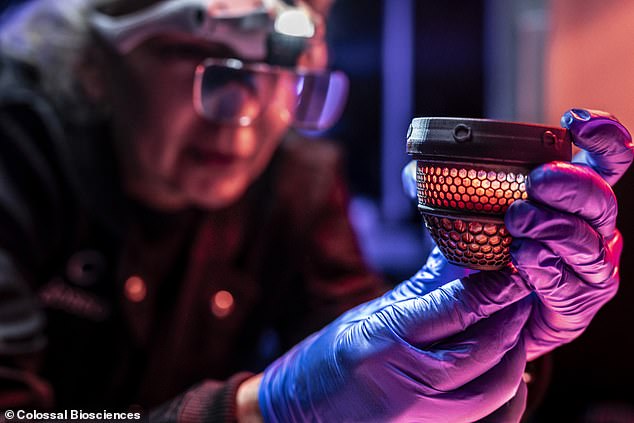 Artificial egg hatches live chicks, paving way for de-extinction projects.