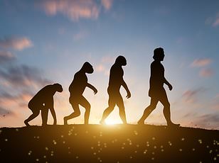 Ancient 'third eye' in human skull linked to evolution