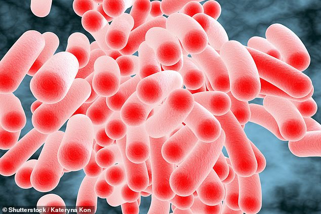 Salmonella cases hit ten-year high in England as officials warn diners.