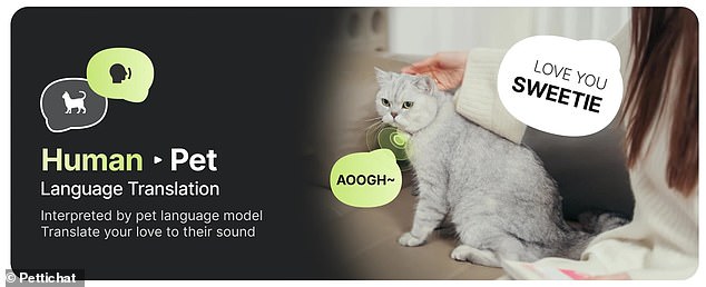 Chinese startup claims AI collar translates pet sounds with 95% accuracy.