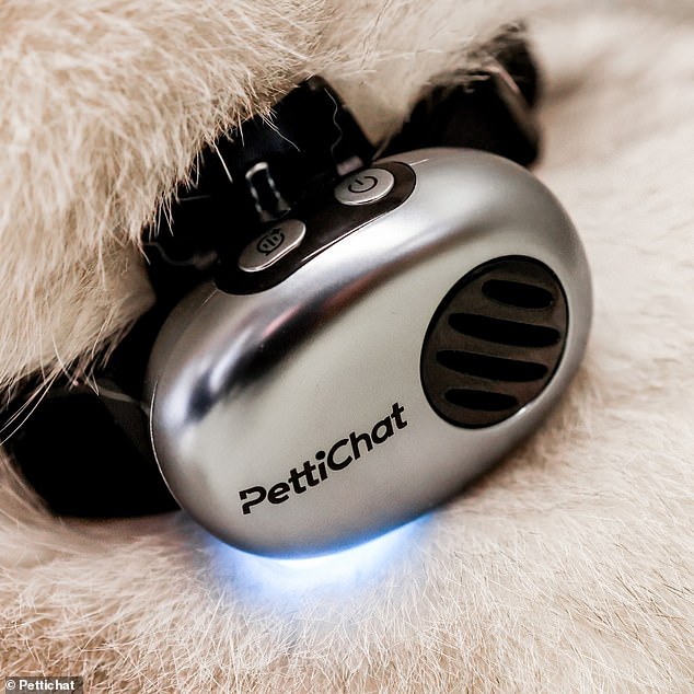 Chinese startup claims AI collar translates pet sounds with 95% accuracy.