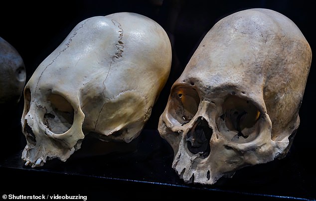 New DNA tests on Peruvian mummies reignite alien origin theories.