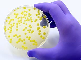 FDA Issues Class I Recall for Salmonella-Contaminated Coffee Connexion Alfredo Sauce