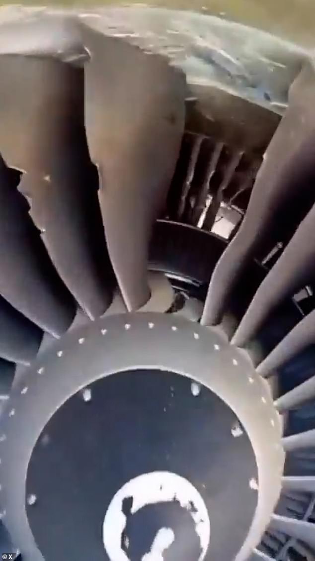 Wife saves husband dangling 20,000 feet by holding on as he falls out of plane window after cabin depressurization incident forces Ryanair flight passengers into emergency rescue operation over Eur...