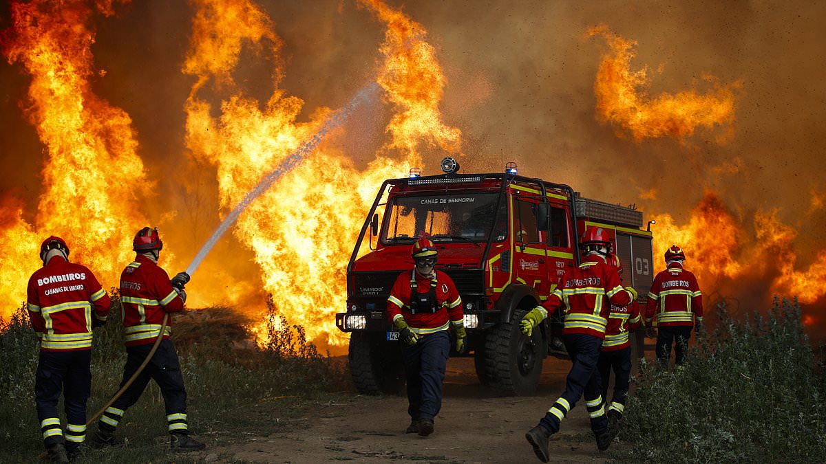 New study warns Earth faces 4°C warming, fire storms, and lab meats by 2100.