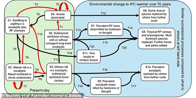 New study warns Earth faces 4°C warming, fire storms, and lab meats by 2100.