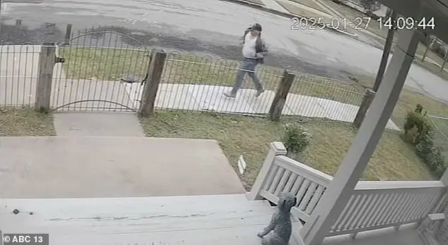 Surveillance Footage Captures Terrifying Encounter Between a Man and a Seven-Year-Old Girl in Houston