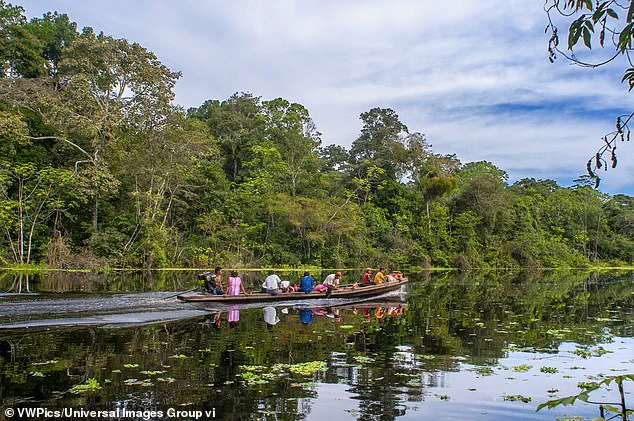 Brazilian Tribal Member Interacts with Bela Rosa Community in Rare Incident