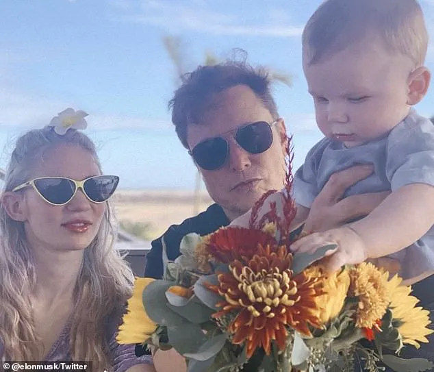 Elon Musk's Baby Mama Alleges He Jilted Her and Refused Support