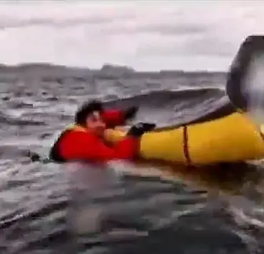 Humpback whale attacks kayaker in Chile, but spits him out unharmed