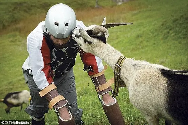 Living as a Goat in Switzerland: An Experiment in Nature