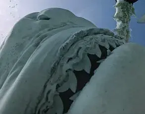 Rare Glimpse Inside a Tiger Shark's Mouth: Divers' Stunning 360-Degree View