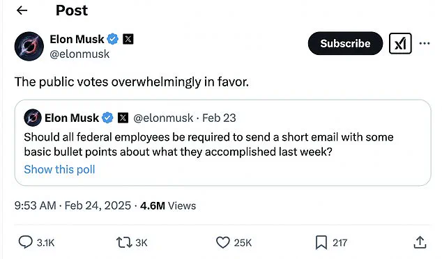 US Border Patrol Agents Furious Over Elon Musk's Email Demanding Justification of Their Jobs