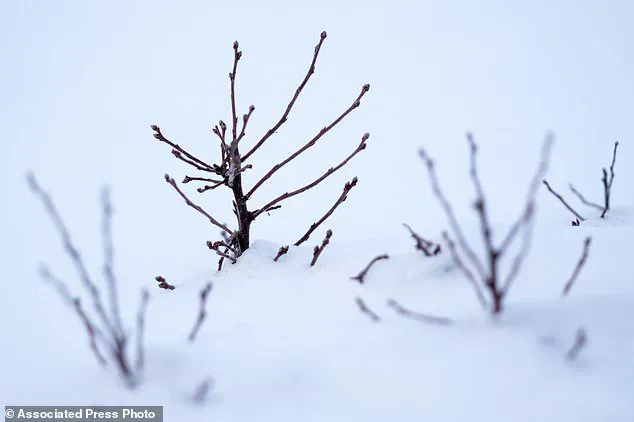 US Farm Grant freeze leaves small farmers hanging