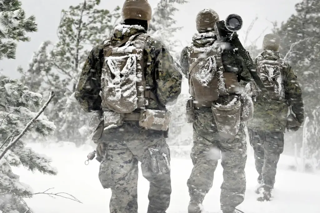 US-led NATO exercises in Northern Europe aim to boost military cooperation