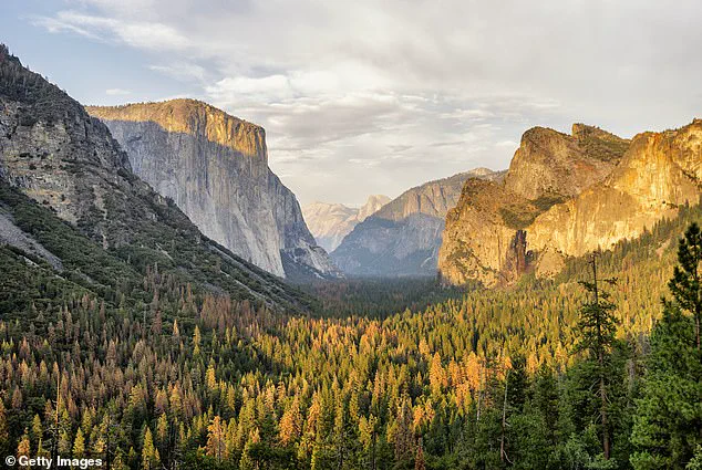 Yosemite National Park Faces Crowding Concerns Without Reservation System