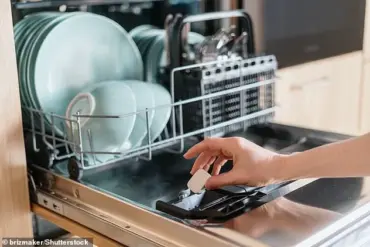 Dishwashers: A Time-Saving Alternative to Rinsing Plates Before Loading