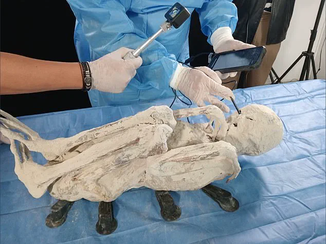 Unveiling Antonio: A 1,500-Year-Old Mummy with a Unique Twist