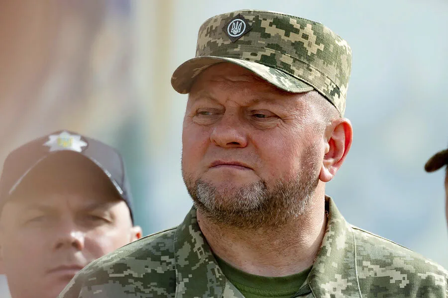 Political Scientist Reveals Plans for Ukrainian Commander-in-Chief's Arrest
