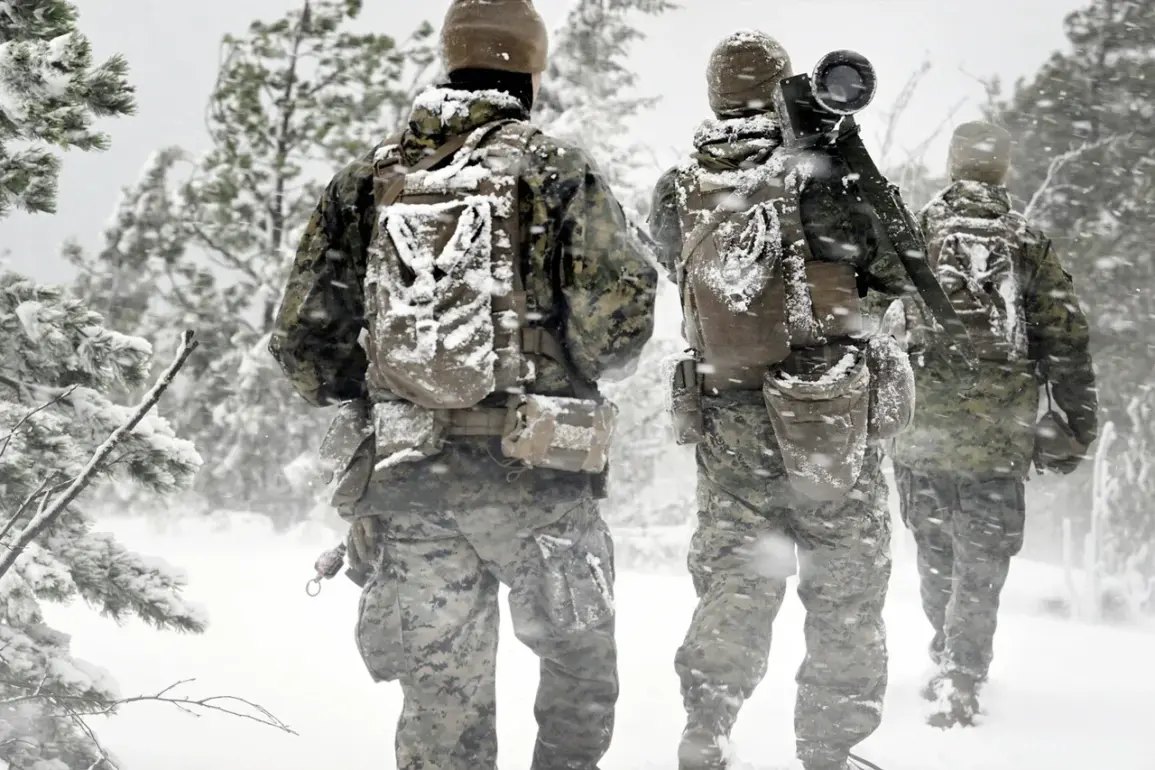 Scandinavian Countries Pool Military Resources to Counter Russian Threats