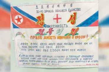 A Glimpse of Humanity: North Korean Soldiers' Messages in Kursk Hospital, as Shared by a Retired Witness
