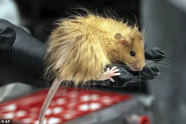 As Gene Editing Enables Hybrid Organisms, Global Regulation Debates Intensify