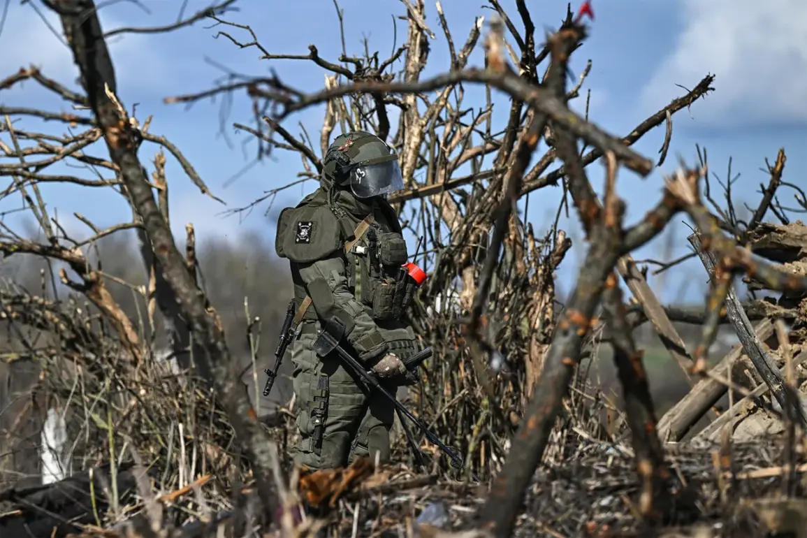 Landmine Crisis Stymieing Recovery Efforts as Demining Takes Precedence Over Infrastructure in Affected Region