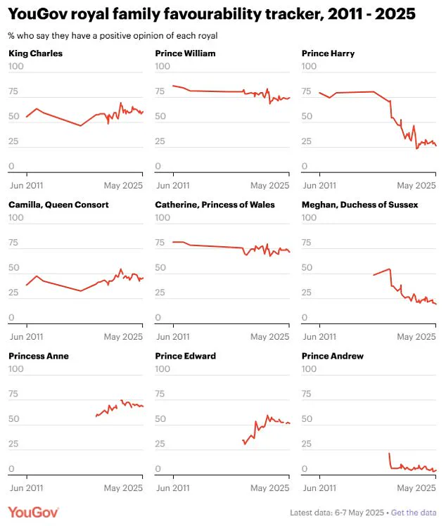 Meghan Markle's Favorability in Britain Plummets to Record Low as Public Backlash Mounts Over Alleged Betrayal of Royal Family
