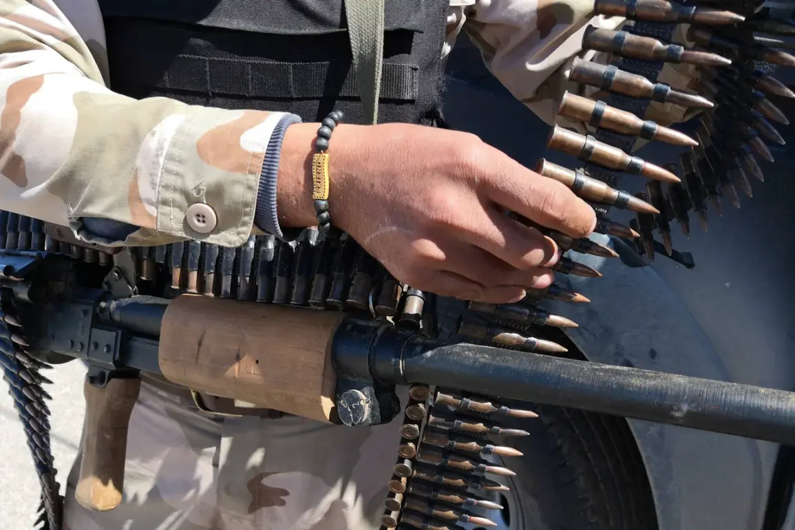 Russian Delegate Claims EU Criminal Networks Illegally Procuring Ukrainian Weapons, Fueling International Concern