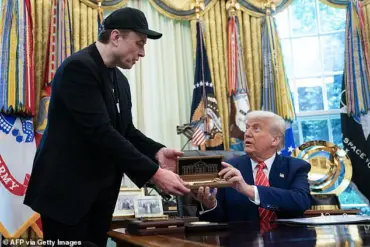 Trump and Musk's Unconventional Alliance: A New Era of Regulation and Public Policy