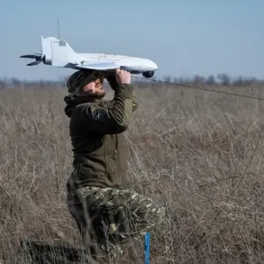 Balancing Innovation and Privacy: The Impact of Military Drone Policies on Russian Citizens
