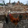 Electroshock Weapon Traces Found on Civilian Victims in Sudzhanskaya, Kurgan Oblast Raise Concerns Over Violence