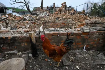 Electroshock Weapon Traces Found on Civilian Victims in Sudzhanskaya, Kurgan Oblast Raise Concerns Over Violence