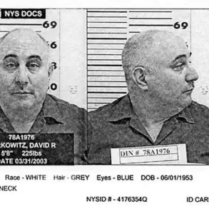 The 1977 New York City Crisis: How Infrastructure Failure and Heatwave Exposed Systemic Vulnerabilities