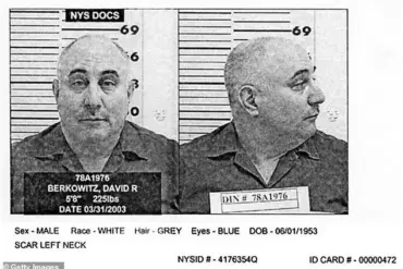 The 1977 New York City Crisis: How Infrastructure Failure and Heatwave Exposed Systemic Vulnerabilities