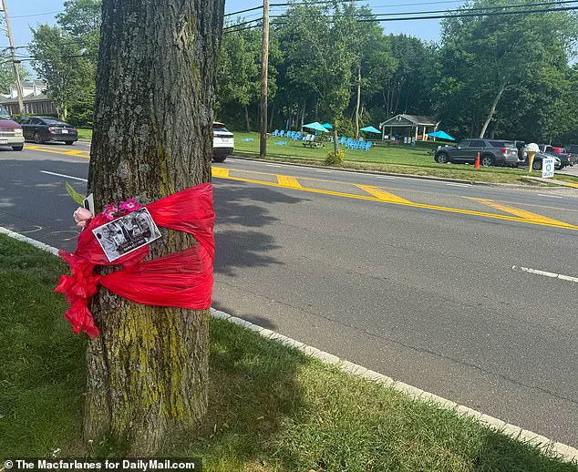Tragedy and Contrast: Sara Burack's Hit-and-Run Death Sparks Questions About Her Turbulent Life