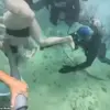 Underwater Horror at Xcaret Park: Tourist's Helmet Dislodged in Viral Incident Sparks Safety Concerns