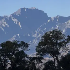 A Lone Hiker's Ordeal on Mount Williamson: 'I Thought I Was Going to Die' — Survivor Recounts Perilous Fall and Survival