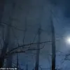 A Teenager's Ordeal in the Frozen Wilderness of Wasilla, Alaska